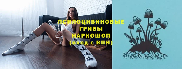 ГАЛЛЮЦИНОГЕННЫЕ ГРИБЫ Касимов