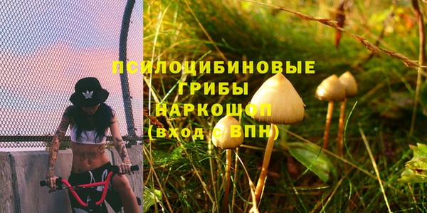 ГАЛЛЮЦИНОГЕННЫЕ ГРИБЫ Касимов