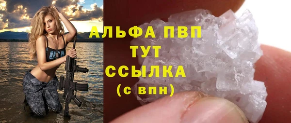 ГАЛЛЮЦИНОГЕННЫЕ ГРИБЫ Касимов
