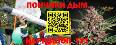 сатива Лесосибирск