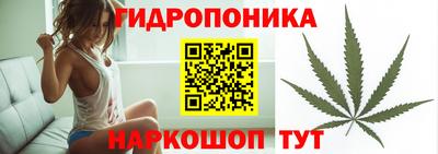 прущие грибы Бугуруслан