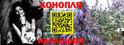 гашик Бузулук