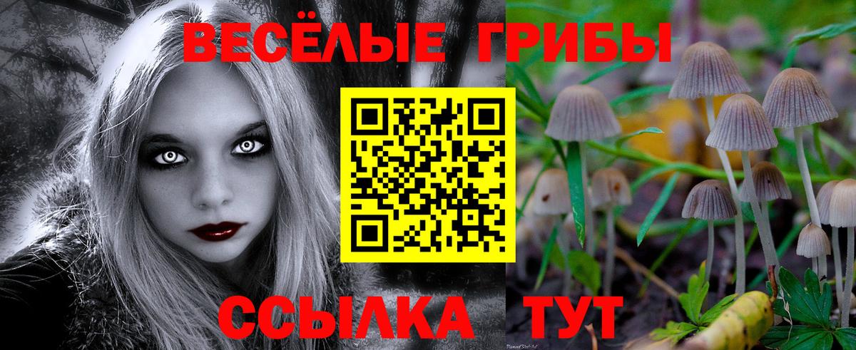 Псилоцибиновые грибы прущие грибы  Галлюциногенные грибы MAGIC MUSHROOMS  Вход с VPN  Великий Новгород 