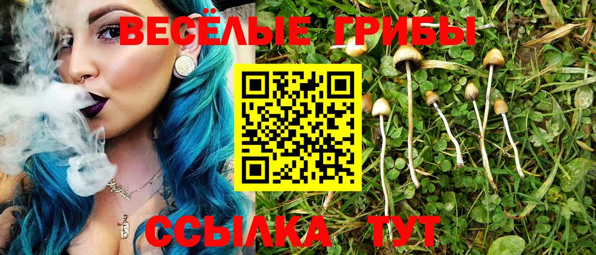 Псилоцибиновые грибы Cubensis  Великий Новгород 